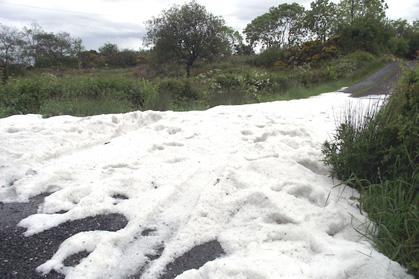 ice_storm_ier_land_june.jpg