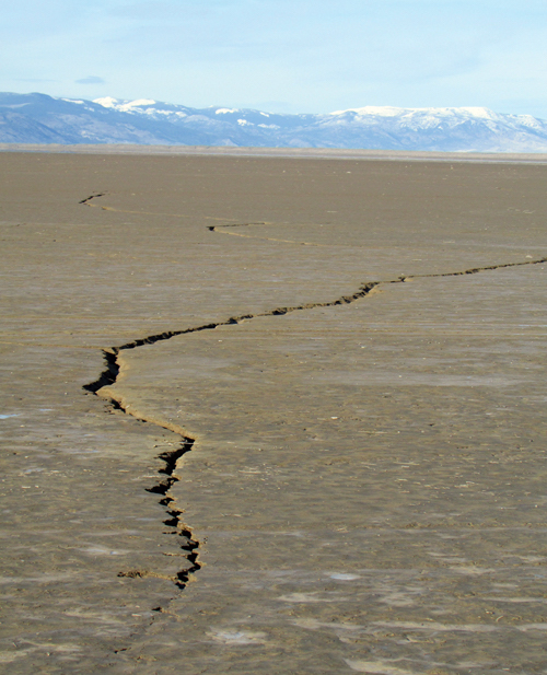 Alkali-Lake-cracks.jpg