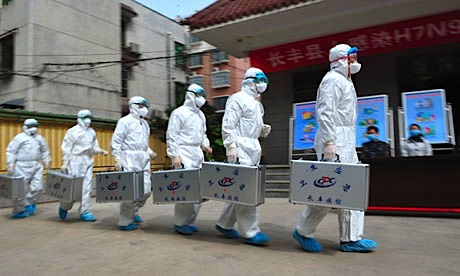 Bird-flu-in-China.jpg