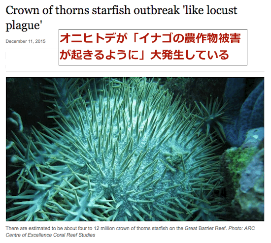 crown-thorns-starfish.gif