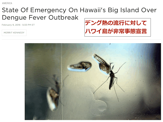 hawaii-dengue-emergency.gif