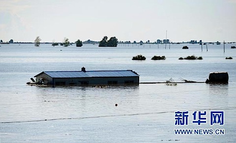 kok-2013.jpg