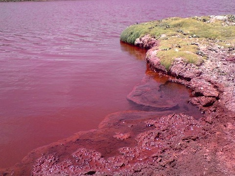 red-lagoon-chile-2.jpg