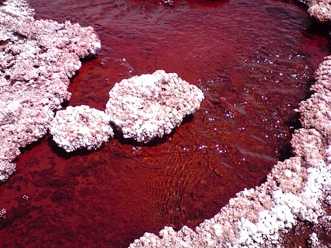 red-lagoon-chile-3.jpg